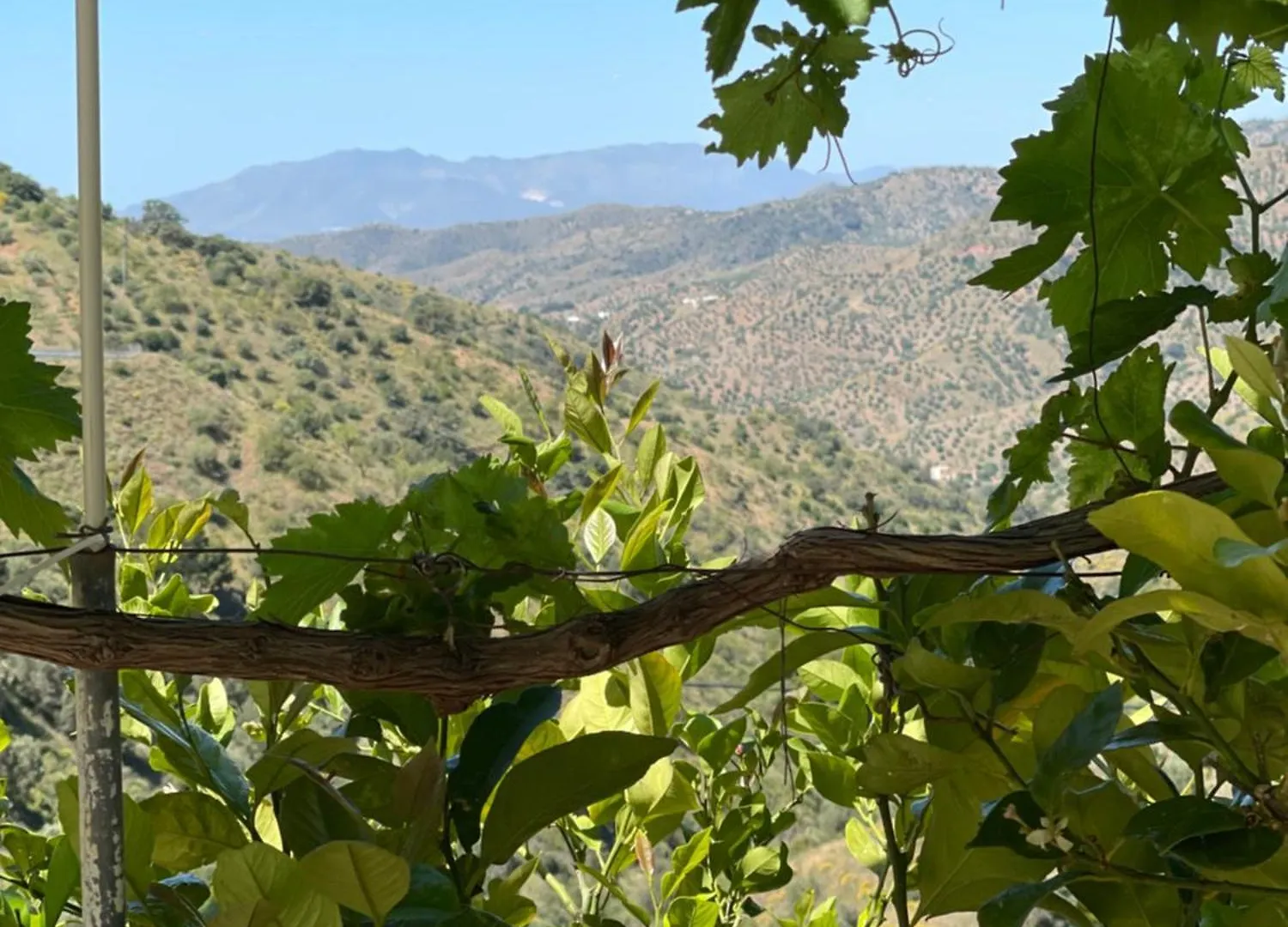 Holiday home Casa Frontillas Moclinejo Spain