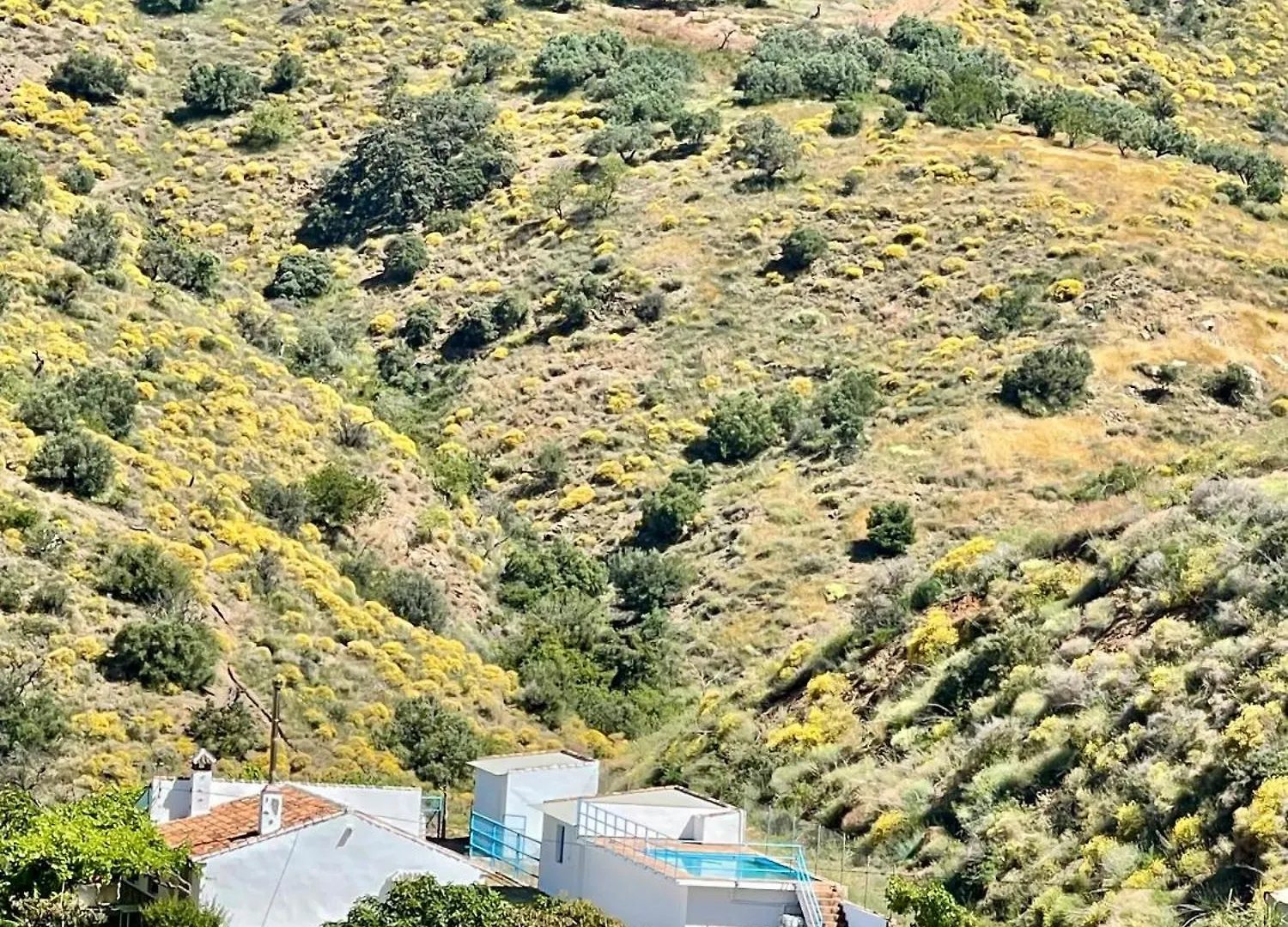 Casa Frontillas Moclinejo Holiday home